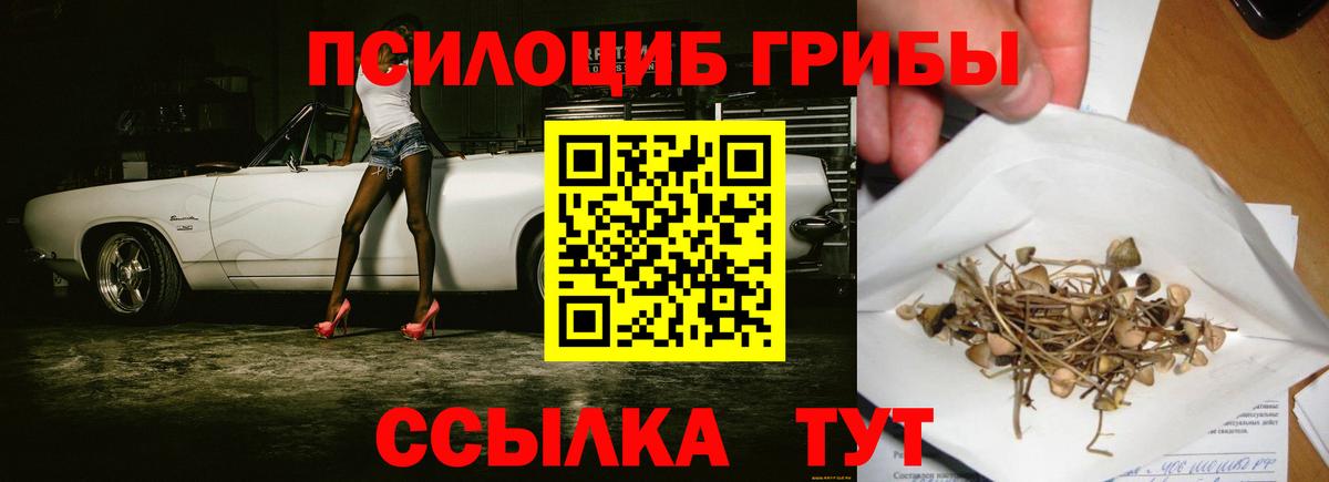 Кизляр  Галлюциногенные грибы Cubensis  Вход с VPN  Псилоцибиновые грибы Magic Shrooms 